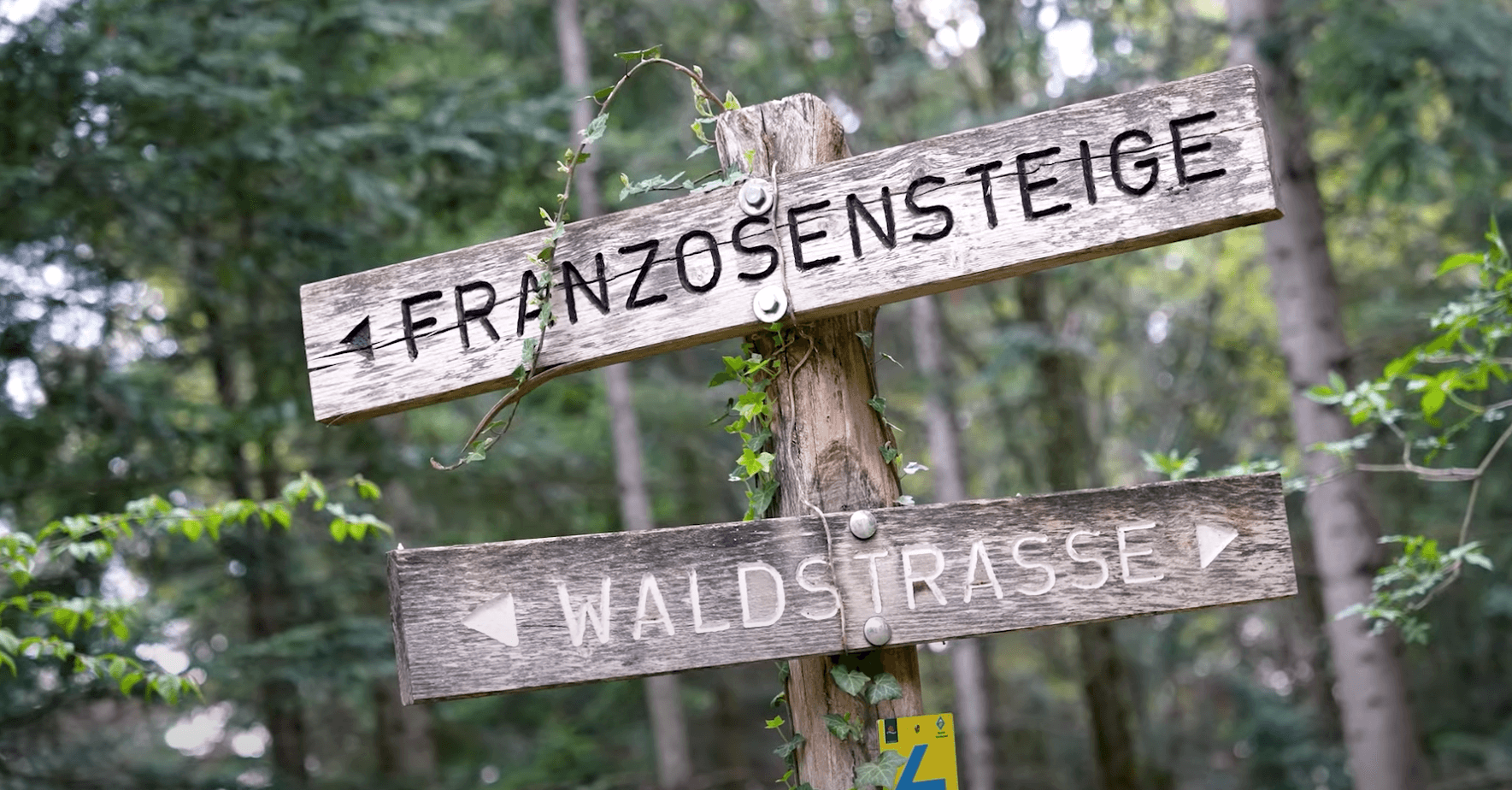 ドイツフライブルクの旅④ フライブルクの森林業について学ぶ(後編)