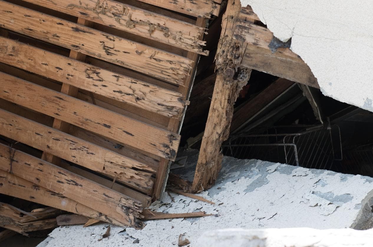 結露が怖い本当の理由【あなたの家の壁にひそむ恐怖の住人】 WELLNEST HOME創業者 早田宏徳が語るシリーズ④